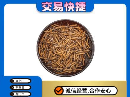 东莞谢岗镇回收散虫草